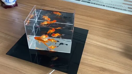 Mini Clear Acrylic Aquarium Fish Tank for Fancy and Bettas Fishes